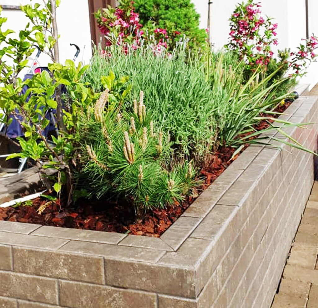Plante pentru jardiniere – ghid cu 30 de specii ornamentale 11 Jardiniere gradina 1 nou