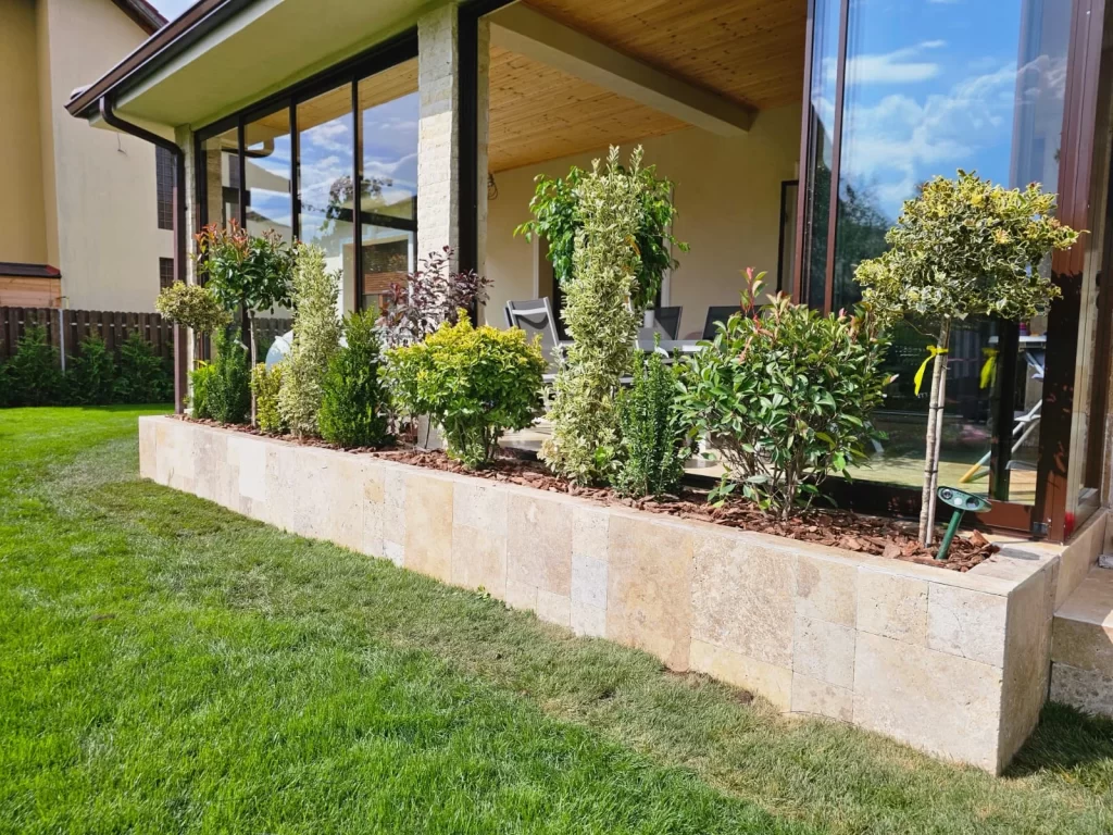 Plante pentru jardiniere – ghid cu 30 de specii ornamentale 10 3